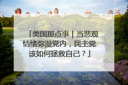 美国那点事｜当悲观情绪弥漫党内，民主党该如何拯救自己？