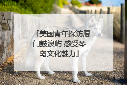 美国青年探访厦门鼓浪屿 感受琴岛文化魅力