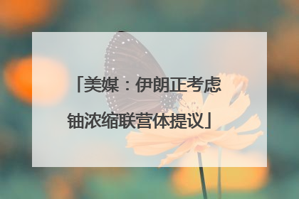 美媒：伊朗正考虑铀浓缩联营体提议