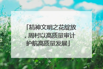 精神文明之花绽放，周村以高质量审计护航高质量发展
