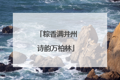 粽香满并州 诗韵万柏林