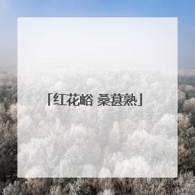 红花峪 桑葚熟