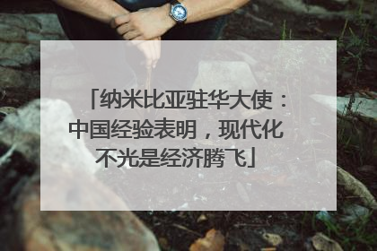 纳米比亚驻华大使：中国经验表明，现代化不光是经济腾飞