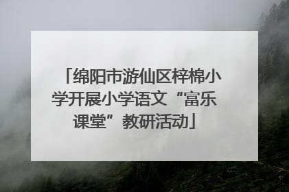 绵阳市游仙区梓棉小学开展小学语文“富乐课堂”教研活动