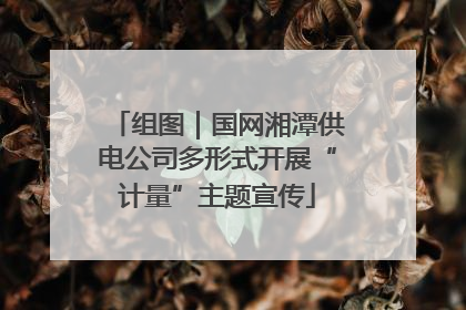 组图｜国网湘潭供电公司多形式开展“计量”主题宣传