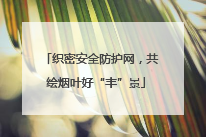 织密安全防护网，共绘烟叶好“丰”景