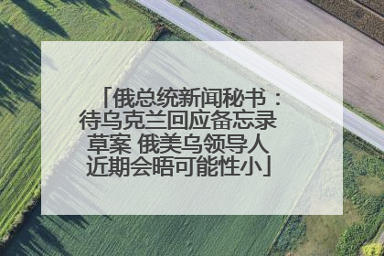 俄总统新闻秘书：待乌克兰回应备忘录草案 俄美乌领导人近期会晤可能性小