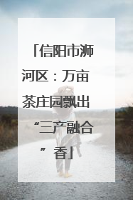 信阳市浉河区：万亩茶庄园飘出“三产融合”香