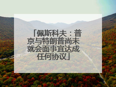 佩斯科夫：普京与特朗普尚未就会面事宜达成任何协议