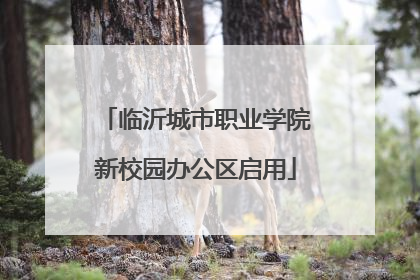 临沂城市职业学院新校园办公区启用