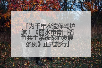 为千年农遗保驾护航！《丽水市青田稻鱼共生系统保护发展条例》正式施行