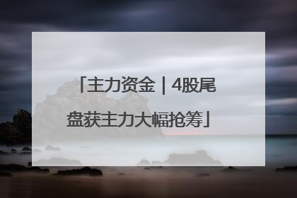 主力资金｜4股尾盘获主力大幅抢筹