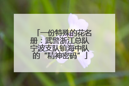 一份特殊的花名册：武警浙江总队宁波支队镇海中队的“精神密码”