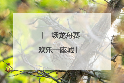 一场龙舟赛 欢乐一座城