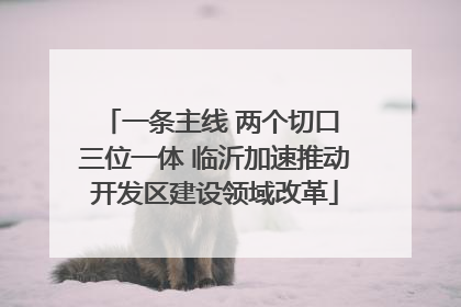 一条主线 两个切口 三位一体 临沂加速推动开发区建设领域改革