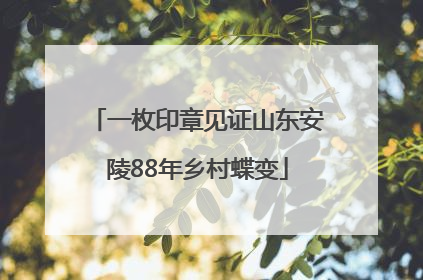 一枚印章见证山东安陵88年乡村蝶变