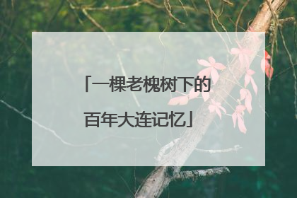 一棵老槐树下的百年大连记忆