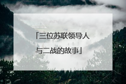 三位苏联领导人与二战的故事