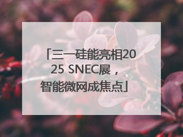 三一硅能亮相2025 SNEC展，智能微网成焦点