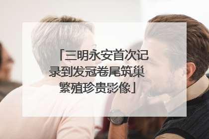 三明永安首次记录到发冠卷尾筑巢繁殖珍贵影像