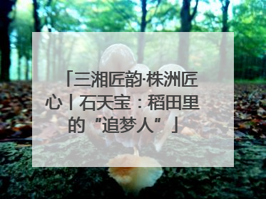 三湘匠韵·株洲匠心丨石天宝：稻田里的“追梦人”