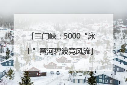 三门峡：5000“泳士”黄河碧波竞风流