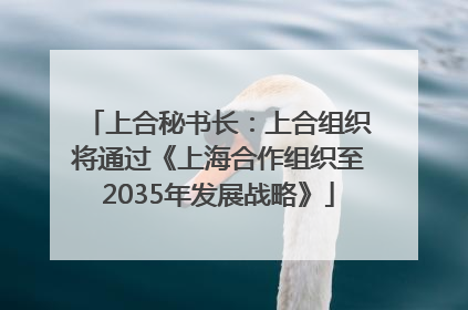 上合秘书长：上合组织将通过《上海合作组织至2035年发展战略》