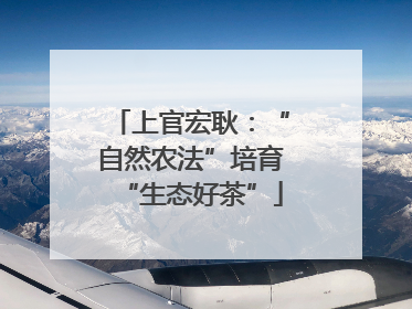 上官宏耿：“自然农法”培育“生态好茶”