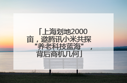上海划地2000亩，邀腾讯小米共探“养老科技蓝海”，背后商机几何
