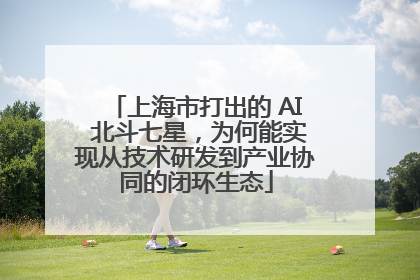 上海市打出的 AI 北斗七星，为何能实现从技术研发到产业协同的闭环生态