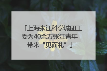 上海张江科学城团工委为40余万张江青年带来“见面礼”
