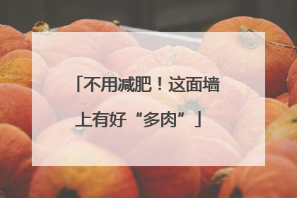 不用减肥！这面墙上有好“多肉”