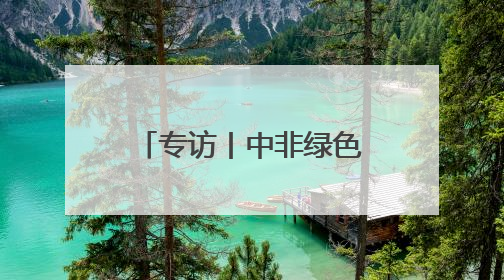 专访丨中非绿色合作播种非洲“绿色长城”的未来——访毛里塔尼亚环境部长拉格达夫