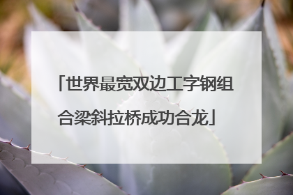 世界最宽双边工字钢组合梁斜拉桥成功合龙