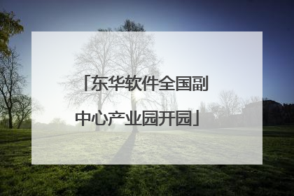 东华软件全国副中心产业园开园