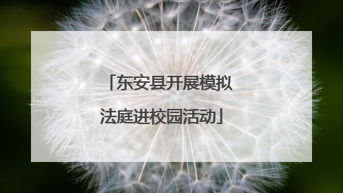东安县开展模拟法庭进校园活动