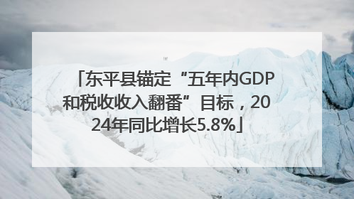 东平县锚定“五年内GDP和税收收入翻番”目标，2024年同比增长5.8%