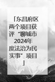 东昌府区两个项目获评“聊城市2024年度法治为民实事”项目