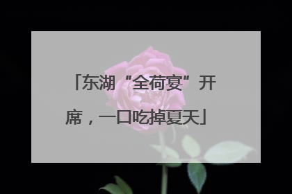 东湖“全荷宴”开席，一口吃掉夏天