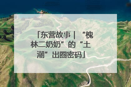 东营故事｜“槐林二奶奶”的“土潮”出圈密码
