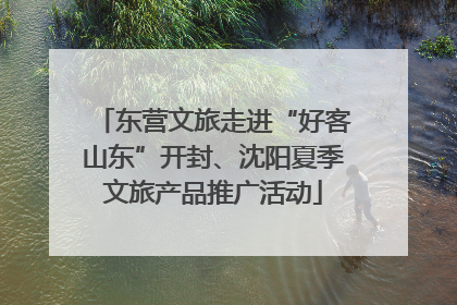 东营文旅走进“好客山东”开封、沈阳夏季文旅产品推广活动
