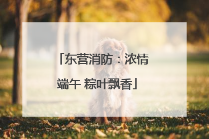 东营消防：浓情端午 粽叶飘香