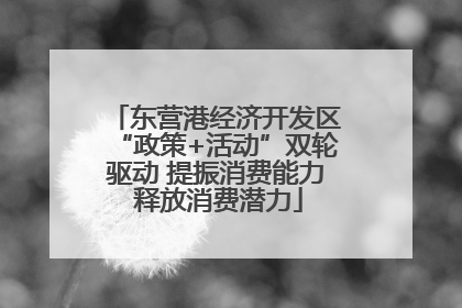 东营港经济开发区“政策+活动”双轮驱动 提振消费能力 释放消费潜力