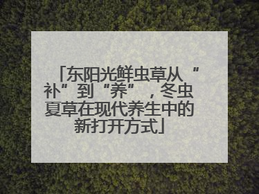 东阳光鲜虫草从“补”到“养”，冬虫夏草在现代养生中的新打开方式
