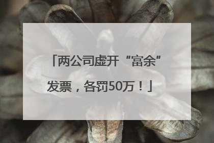 两公司虚开“富余”发票，各罚50万！