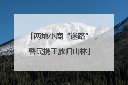 两地小鹿“迷路”，警民携手放归山林