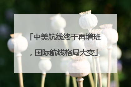 中美航线终于再增班，国际航线格局大变