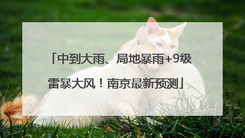 中到大雨、局地暴雨+9级雷暴大风！南京最新预测