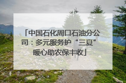 中国石化周口石油分公司：多元服务护“三夏” 暖心助农保丰收
