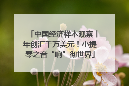 中国经济样本观察丨年创汇千万美元！小提琴之音“响”彻世界